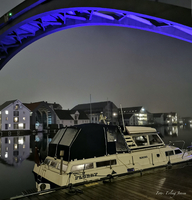 Florry under Risøy bru i Haugesund 6. februar 2020. Foto: Erling Jensen.
